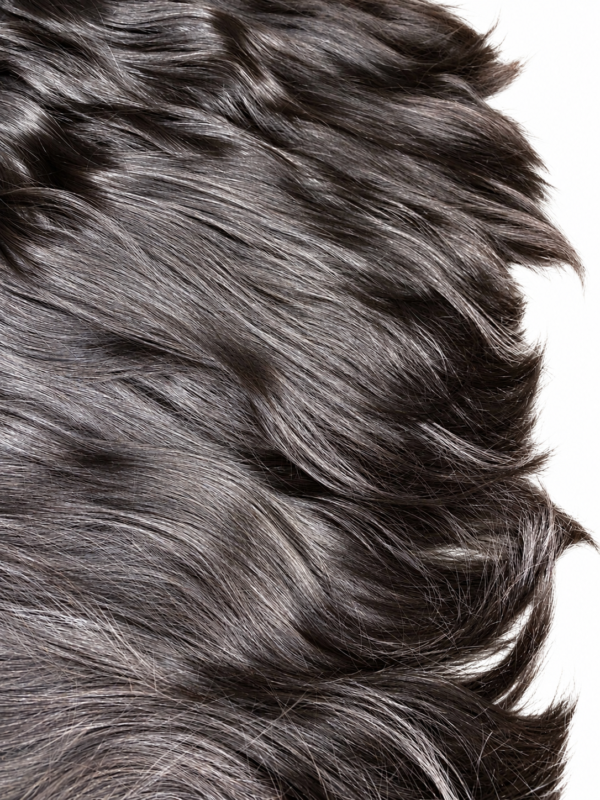 TISSAGE THE RAW SINGLE LISSE